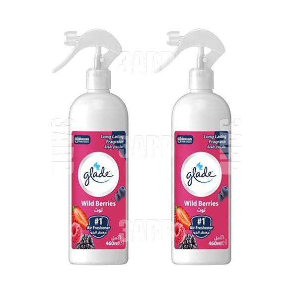 جليد معطر جو توت ٤٦٠مل  - ٢ عبوة