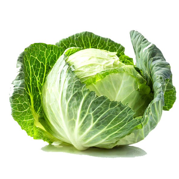 Cabbage 1pcs - Pack of 1