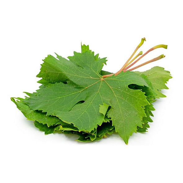 Grape Leaves 500g - Pack of 2