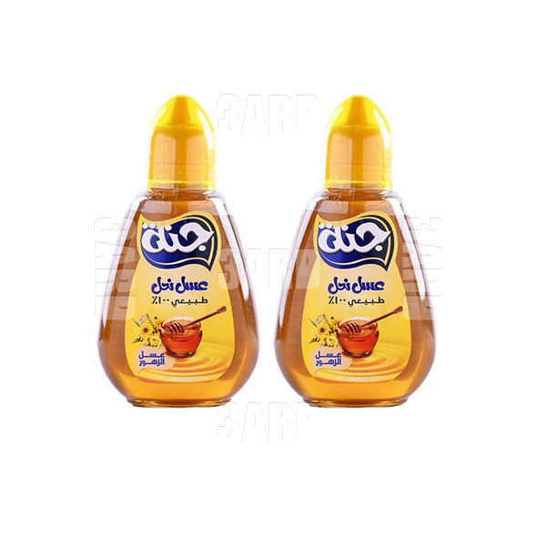 Ganna Honey Squeez 450g - Pack of 2