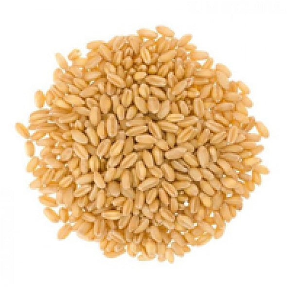 زاهر قمح مقشور ٥٠٠جم - ٢ عبوة