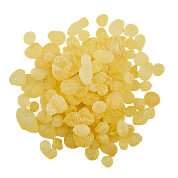 Zaher Greek Mastic 10g - pack of 1