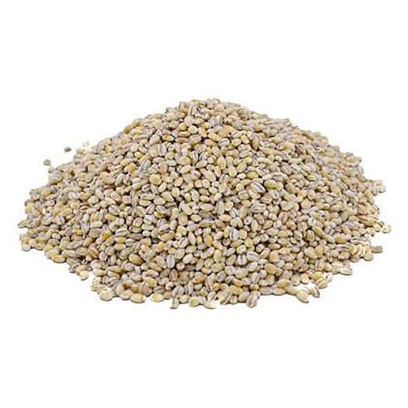 Zaher Mustard 500g - pack of 2