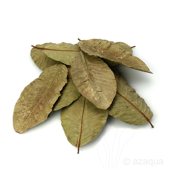 زاهر ورق جوافة ٢٥٠جم - ٢ عبوة