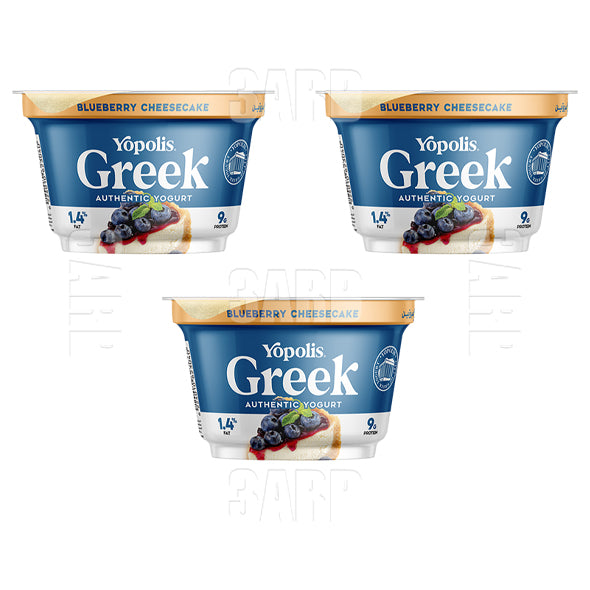 Yopolis Greek Yogurt Blueberry Cheese Cake 150g - Pack of 3