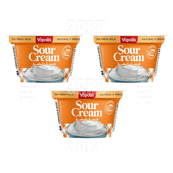 Yopolis Sour Cream 150g - Pack of 3