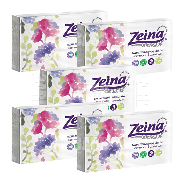 Zeina Easy Pack 100 tissues - Pack of 5