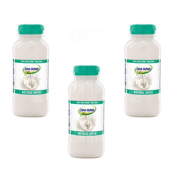 Dina Farms Rayeb Milk 250ml - Pack of 3