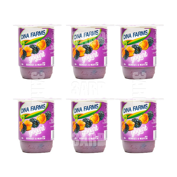 Dina Farms Yogurt with Berries 105g - Pack of 6