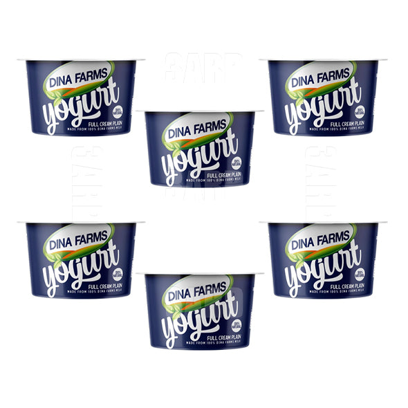 Dina Farms Natural Yogurt 170g - Pack of 6