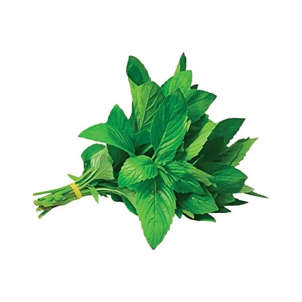 Fresh Balady Mint 1pcs - Pack of 2