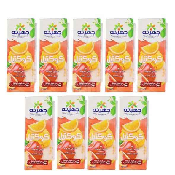 Juhayna Cocktail Juice 235ml - Pack of 9