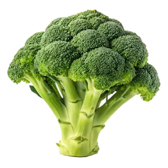 Broccoli 1pcs - Pack of 1