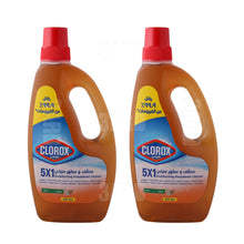 Load image into Gallery viewer, Clorox Household Cleaner 5 in 1 Pine 700ml - Pack of 2
