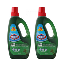 Load image into Gallery viewer, Clorox Household Cleaner 5 in1 Mint 700ml - Pack of 2
