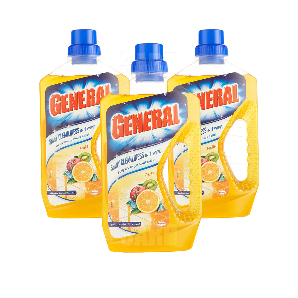 General Shiny Cleanliness Fruits 700g - Pack of 3